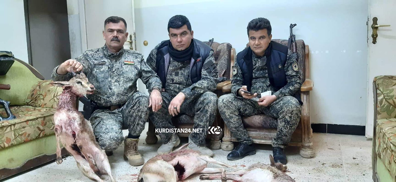 چەند راوچییەک لە گەرمیان سێ ئاسک دەکوژن